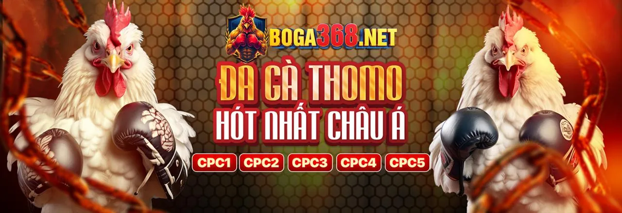 Hình ảnh chính về chiến lược cá cược thể thao 8kbe