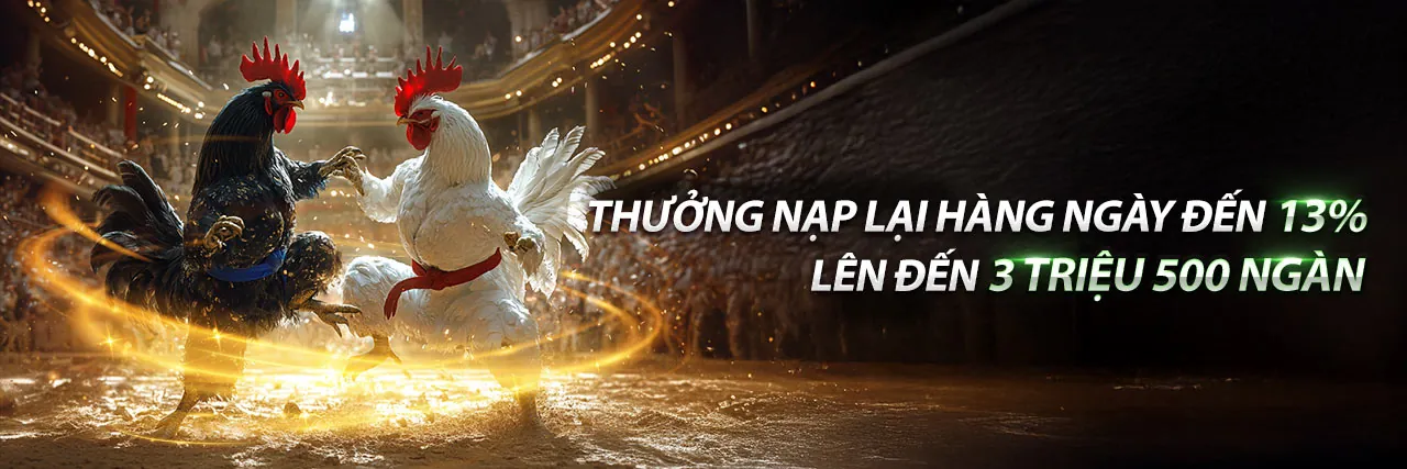Cá cược thể thao đỉnh cao tại 8kbe cổng game chính thức